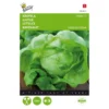 Kropsla Hilde - Lactuca Sativa -Goedkope Tuin Adem Winkel kropsla hilde lactuca sativa 1646840319 171 600