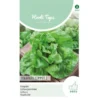 Kropsla Zomerkoning - Lactuca Sativa -Goedkope Tuin Adem Winkel kropsla zomerkoning lactuca sativa 1646840352 884 600