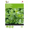 Kruizemunt - Mentha Spicata 2 Kruizemunt - Mentha Spicata -Goedkope Tuin Adem Winkel kruizemunt mentha spicata 1646840313 37 600