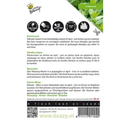 Kruizemunt - Mentha Spicata -Goedkope Tuin Adem Winkel kruizemunt mentha spicata 1646840313 38 600