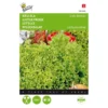 Krulsla Lollo Bionda - Lactuca Sativa -Goedkope Tuin Adem Winkel krulsla lollo bionda lactuca sativa 1646840319 187 600