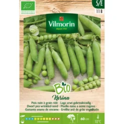 Lage Erwt - Gekreuktzadig Karina BIO