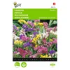 Lamsoor - Statice Sinuata Pacific -Goedkope Tuin Adem Winkel lamsoor statice sinuata pacific 1646840331 433 600