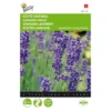 Lavendel - Lavandula Angustifolia -Goedkope Tuin Adem Winkel lavendel lavandula angustifolia 1646840313 41 600