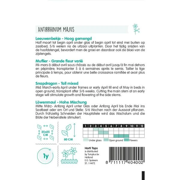 Leeuwenbekje - Antirrhinum Majus Maximum 4 Leeuwenbekje - Antirrhinum Majus Maximum - Afbeelding 2