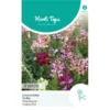Leeuwenbekje Mix - Antirrhinum Majus Nanum -Goedkope Tuin Adem Winkel leeuwenbekje mix antirrhinum majus nanum 1646840358 1014 600