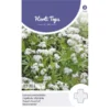 Lievevrouwebedstro - Asperula Odorata -Goedkope Tuin Adem Winkel lievevrouwebedstro asperula odorata 1646840347 750 600