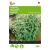 Majoraan - Origanum Majorana -Goedkope Tuin Adem Winkel majoraan origanum majorana 1646840313 43 600