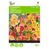 Maskerbloem Queens Price - Mimulus Luteus Tigrinus 2 Maskerbloem Queens Price - Mimulus Luteus Tigrinus -Goedkope Tuin Adem Winkel maskerbloem queens price mimulus luteus tigrinus 1646840329 409 600