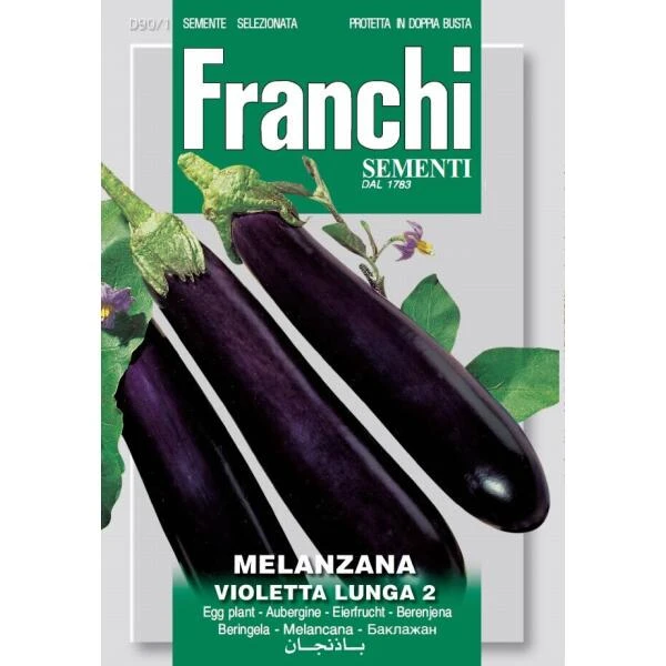 Melanzana Violetta Lunga 2 - Aubergine Langwerpig 3 Melanzana Violetta Lunga 2 - Aubergine Langwerpig