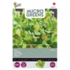 Microgreens Sla Gemengd -Goedkope Tuin Adem Winkel microgreens sla gemengd 1646840378 1434 600