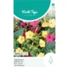 Nachtschone Mix - Maribilis Jalapa -Goedkope Tuin Adem Winkel nachtschone mix maribilis jalapa 1646840363 1120 600
