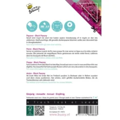 Papaver Black Paeony -Goedkope Tuin Adem Winkel papaver black paeony 1646840389 1613 600