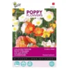 Papaver IJslandse (Poppies) -Goedkope Tuin Adem Winkel papaver ijslandse poppies 1646840318 169 600