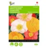 Papaver Nudicaule Excelsior - Pasteltinten -Goedkope Tuin Adem Winkel papaver nudicaule excelsior pasteltinten 1646840335 511 600