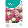 Papierbloem - Xeranthemum Annuum -Goedkope Tuin Adem Winkel papierbloem xeranthemum annuum 1646840350 826 600