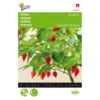 Peper Biquinho - Capsicum Chinense -Goedkope Tuin Adem Winkel peper biquinho capsicum chinense 1646840383 1526 600