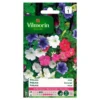 Petunia Gemengd 2 Petunia Gemengd -Goedkope Tuin Adem Winkel petunia gemengd 1646839546 237 600