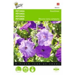 Petunia Raadsheer - Petunia Nana Compacta