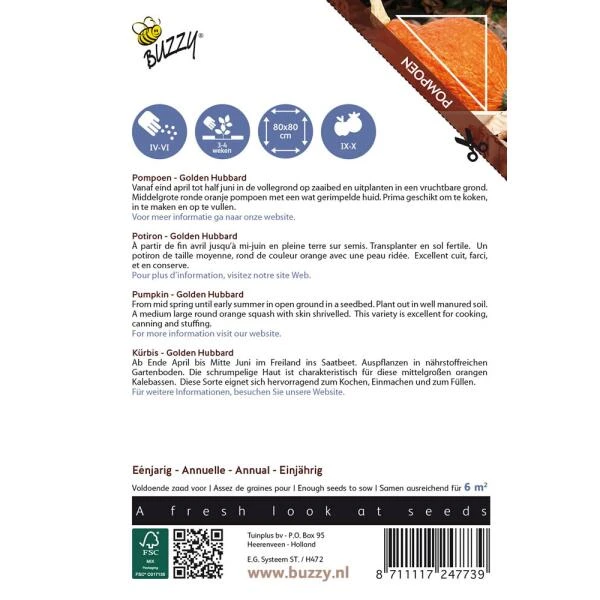 Pompoen Kalebas Golden Hubbard 4 Pompoen Kalebas Golden Hubbard - Afbeelding 2