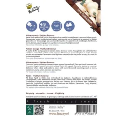 Pompoen Kalebas Waltham Butternut -Goedkope Tuin Adem Winkel pompoen kalebas waltham butternut 1646840338 598 600