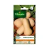 Pompoen Waltham Butternut 1 Pompoen Waltham Butternut -Goedkope Tuin Adem Winkel pompoen waltham butternut 1484063953 1 600