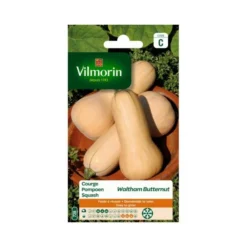 Pompoen Waltham Butternut