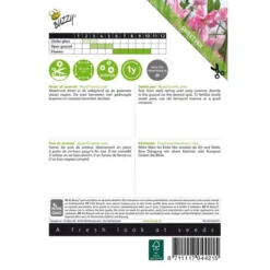 Reukerwt Royal Family Roze - Lathyrus Odoratus 5 Reukerwt Royal Family Roze - Lathyrus Odoratus -Goedkope Tuin Adem Winkel reukerwt royal family roze lathyrus odoratus 1646840329 390 600