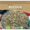 Rucola Spruiten - Kiemgroente BIO -Goedkope Tuin Adem Winkel rucola spruiten kiemgroente bio 1653900237 1 600
