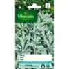 Salie - Salvia Officinalis -Goedkope Tuin Adem Winkel salie salvia officinalis 1646839519 63 600