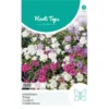 Scheefbloem Mix - Iberis Umbellata -Goedkope Tuin Adem Winkel scheefbloem mix iberis umbellata 1646840362 1098 600
