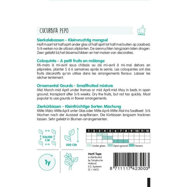 Sierkalebassen 4 Sierkalebassen - Afbeelding 2