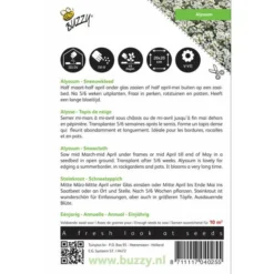 Sneeuwtapijt - Alyssum Marit. Procumbens -Goedkope Tuin Adem Winkel sneeuwtapijt alyssum marit procumbens 1646840324 290 600