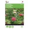 Snijbloemenmengsel Vele Soorten -Goedkope Tuin Adem Winkel snijbloemenmengsel vele soorten 1646840333 475 600