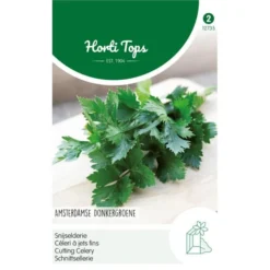 Snijselderie Amsterdamse - Apium Graveolens