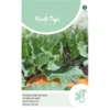 HT Doorlevende Spinazie - Rumex Patientia -Goedkope Tuin Adem Winkel spinazie 7 jaars rumex patientia 1646840356 970 600