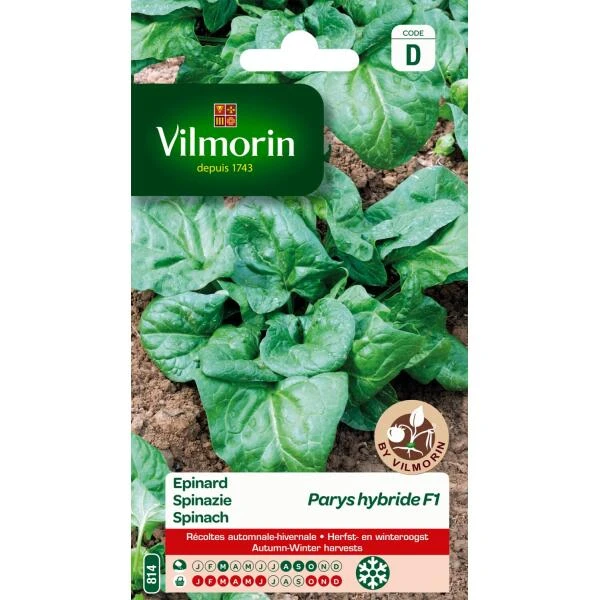 Spinazie Parys HF1 3 Spinazie Parys HF1