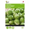 Spruitkool Topline F1 Hybride - Brassica Oleracea -Goedkope Tuin Adem Winkel spruitkool topline f1 hybride brassica oleracea 1646840316 115 600