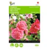Stokroos éénjarig - Alcea Rosea -Goedkope Tuin Adem Winkel stokroos njarig alcea rosea 1646840324 287 600