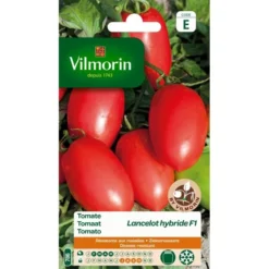 Tomaat Lancelot HF1