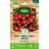 Tomaat Red Cherry BIO