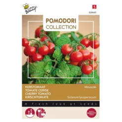 Tomaten Pomodori Minuscolo - Lycopersicon Esculentum