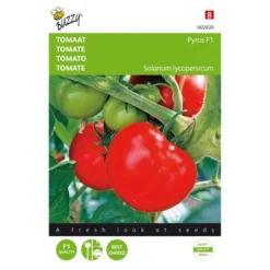 Tomaten Pyros F1 - Lycopersicon Esculentum
