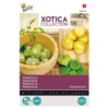 Tomatillo - Aardkers (Exoot) Physalis Ixocarpa -Goedkope Tuin Adem Winkel tomatillo aardkers exoot physalis ixocarpa 1646840337 565 600