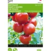 Trostomaten Philippos F1 - Lycopersicon Esculentum -Goedkope Tuin Adem Winkel trostomaten philippos f1 lycopersicon esculentum 1646840321 231 600