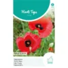 Tulppapaver - Papaver Glauca -Goedkope Tuin Adem Winkel tulppapaver papaver glauca 1646840363 1118 600