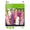 Valse Ridderspoor - Delphinium Ajacis -Goedkope Tuin Adem Winkel valse ridderspoor delphinium ajacis 1646840326 343 600
