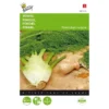 Venkel De Florence - Foeniculum Vulgare -Goedkope Tuin Adem Winkel venkel de florence foeniculum vulgare 1646840313 49 600