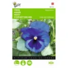 Viola Wittrockiana Alpenmeer -Goedkope Tuin Adem Winkel viola wittrockiana alpenmeer 1646840335 519 600