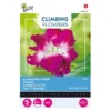 Winde Roze - Ipomoea Dubbel (Klimmer) -Goedkope Tuin Adem Winkel winde roze ipomoea dubbel klimmer 1646840341 647 600